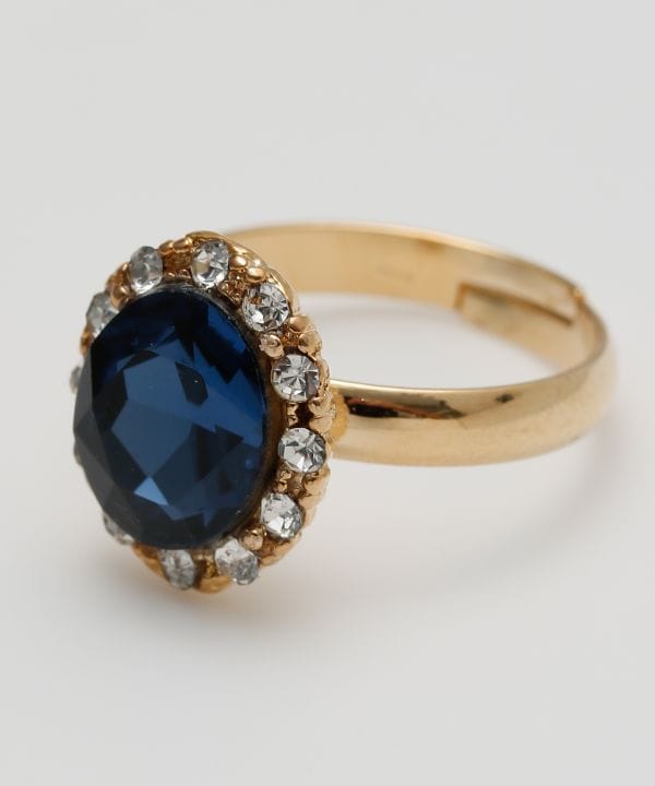 �G�N���r�W�������O