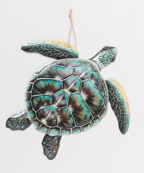 �J�C�z�k�n���M���O�k