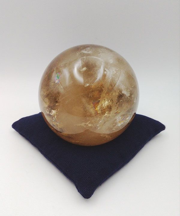 �y��_���z�V�R�V�g�����ۋ�