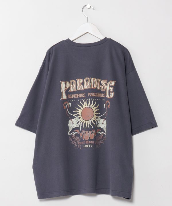 �s�A�q�����Y�s�V���c�ySURF&Palms�z