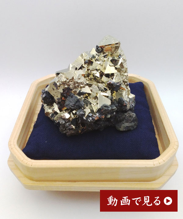 �y��_���z�p�C���C�g539g�y���i���z