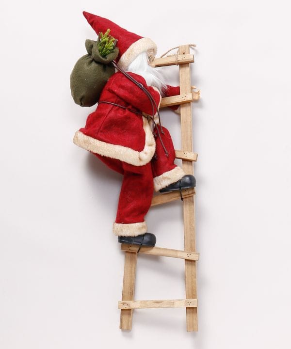 �N���C���T���^