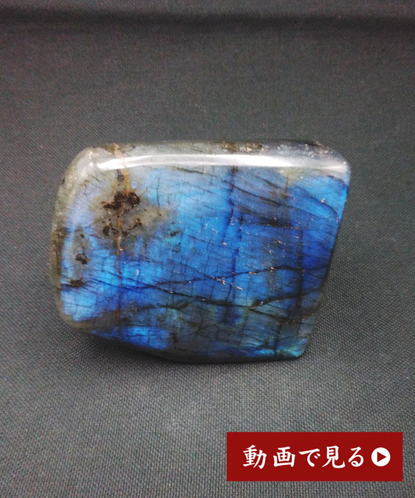 �y��_���z���u���h���C�g�L���[�u259g