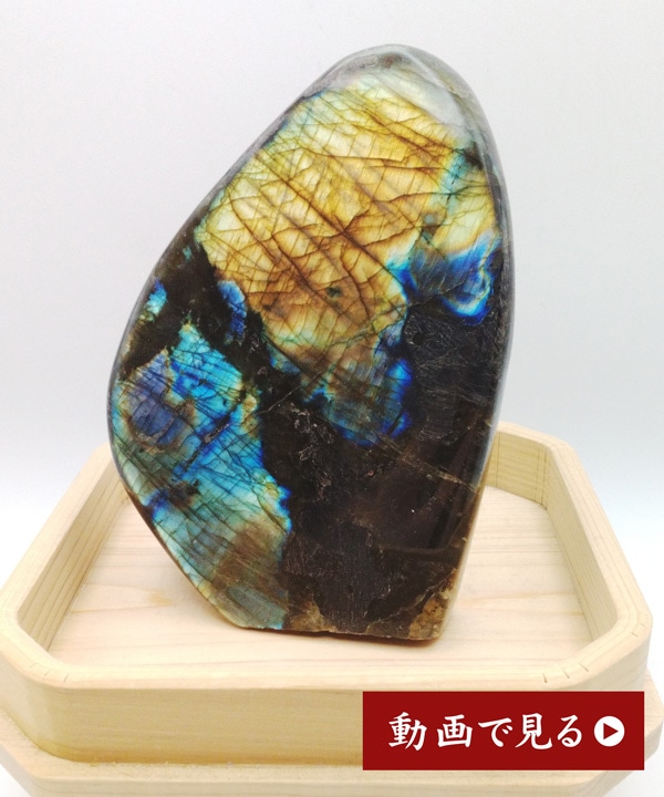 �y��_���z���u���h���C�g�L���[�u463g