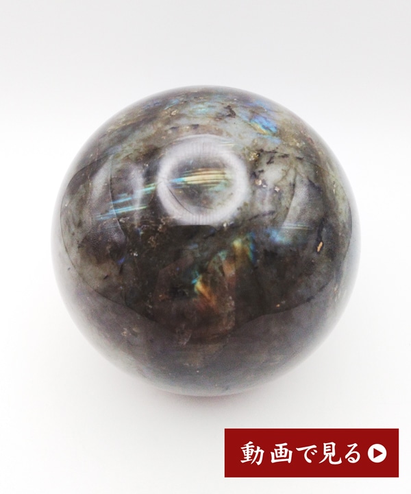 �y��_���z���u���h���C�g�ۋ�640g