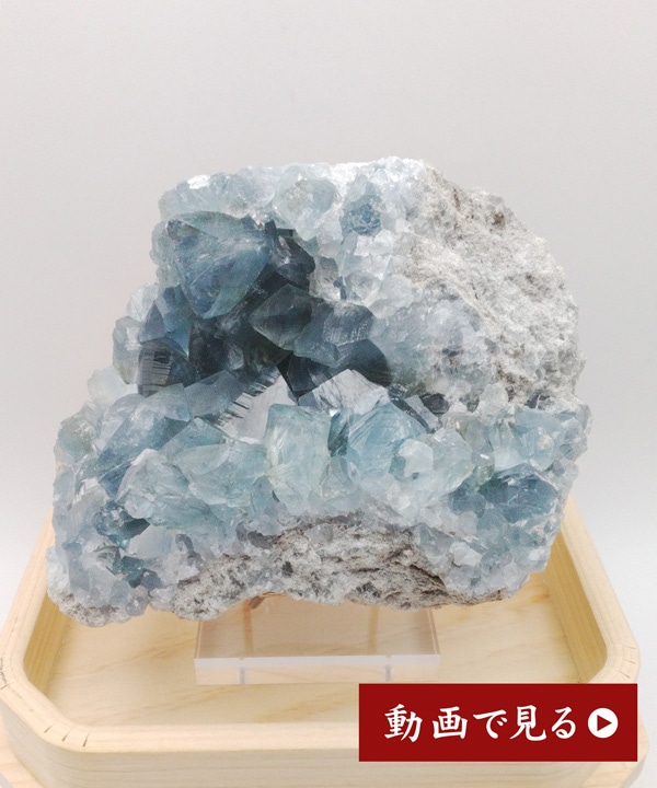 �y��_���z�Z���X�^�C�g���t709g