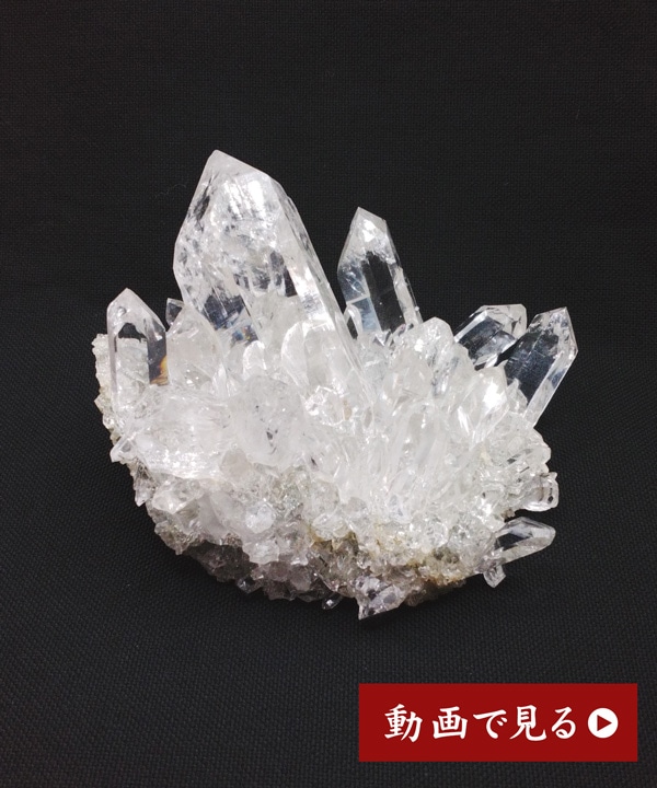 �y��_���z�q�}���������N���X�^�[213g