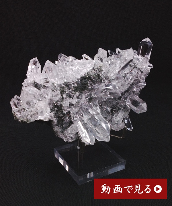 �y��_���z�q�}���������N���X�^�[331g