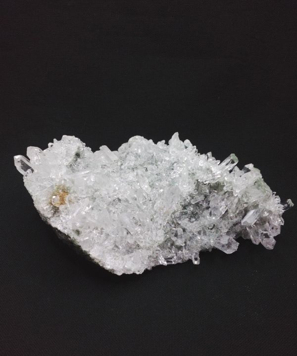 �y��_���z�q�}���������N���X�^�[519g