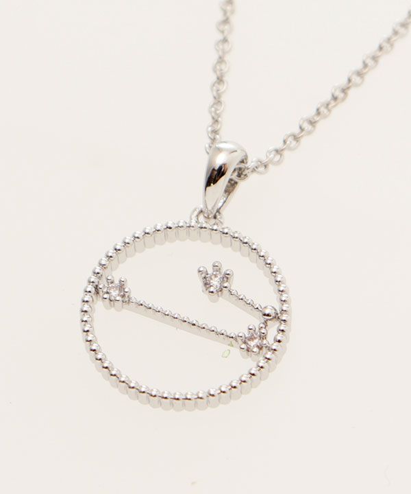 �T�[�N���T�C���V���o�[�l�b�N���X